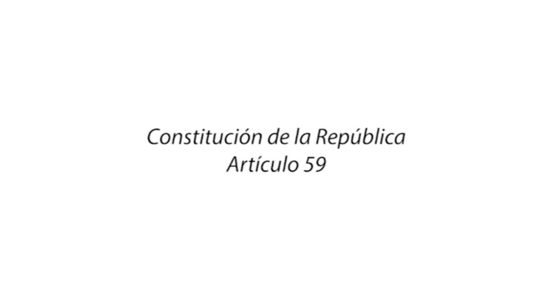 Artículo 59